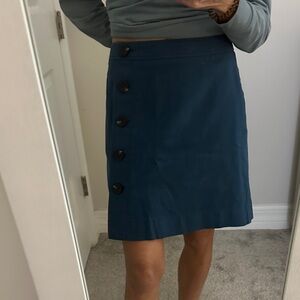 Ann Taylor Skirt
